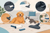 How to Remove Pet Hair From Every Surface